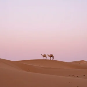 Sunrise Dune Trek & Desert Breakfast